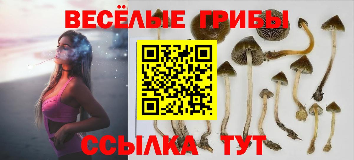 Псилоцибиновые грибы GOLDEN TEACHER Оренбург